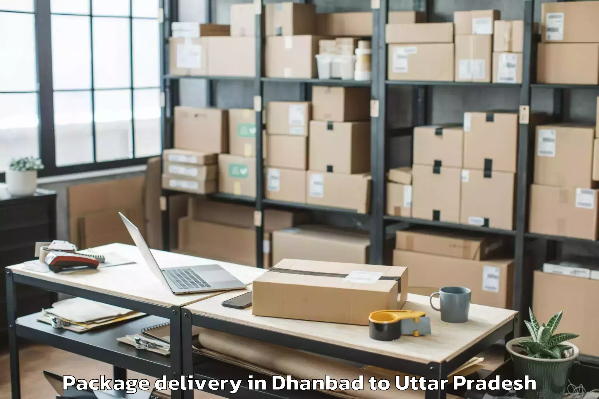 Reliable Dhanbad to Bilthra Package Delivery